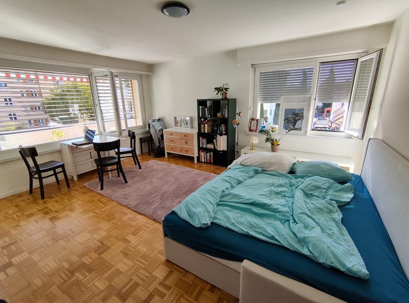 1.5 Zimmer Wohnung zentrale Lage Rapperswil (7)