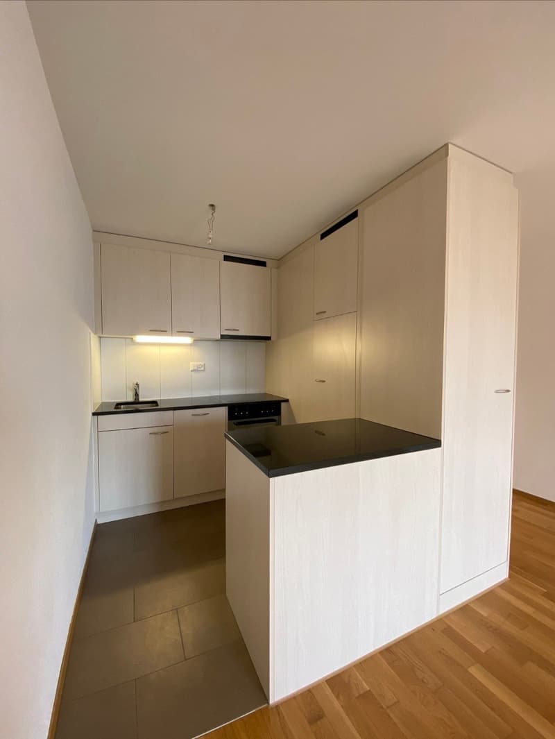 Appartement de 2 pièces (location) (4)