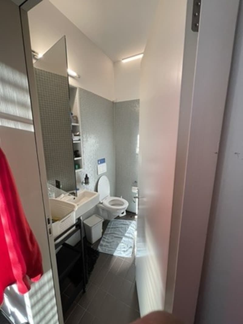Grosses WG-Zimmer (26 m²) im 15. Stock mit Blick über Zürich (6)