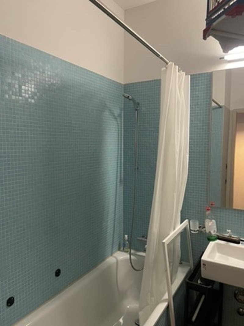 Grosses WG-Zimmer (26 m²) im 15. Stock mit Blick über Zürich (3)