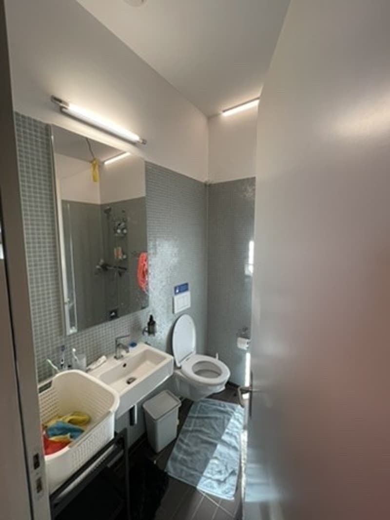 Grosses WG-Zimmer (26 m²) im 15. Stock mit Blick über Zürich (5)