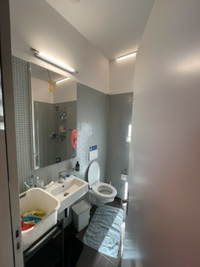 Grosses WG-Zimmer (26 m²) im 15. Stock mit Blick über Zürich (7)