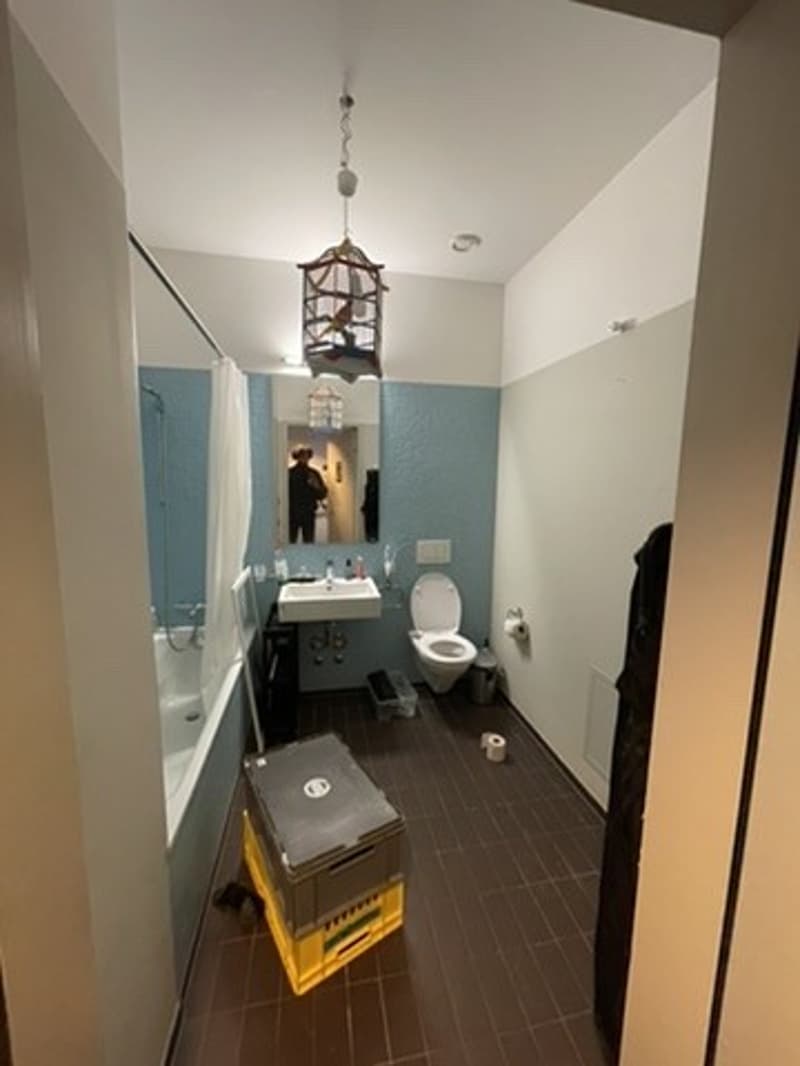 Grosses WG-Zimmer (26 m²) im 15. Stock mit Blick über Zürich (4)
