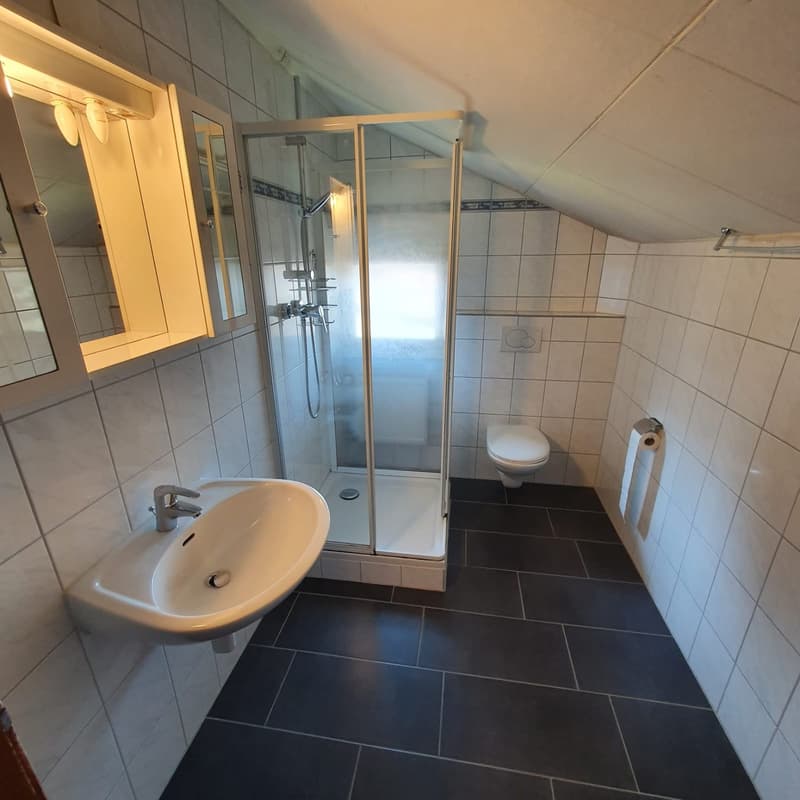 Über den Dächern von Littau (11)