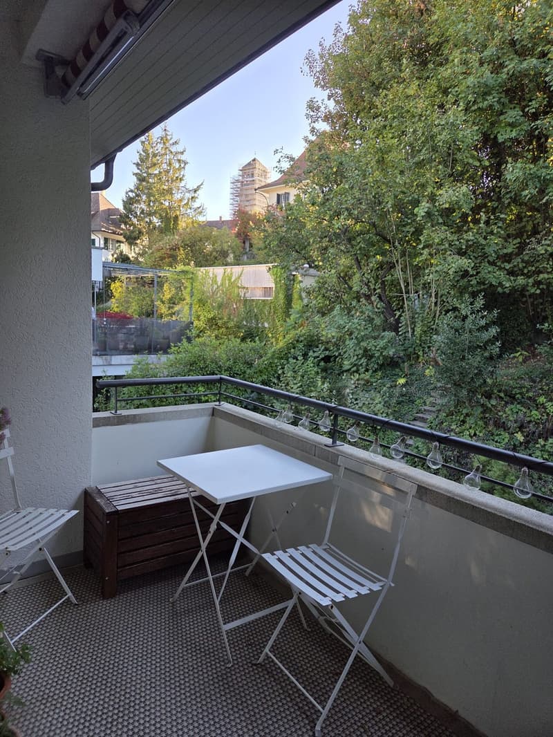 Nachmieter für 4-Zimmer-Wohnung an zentraler und ruhiger Lage gesucht (3)