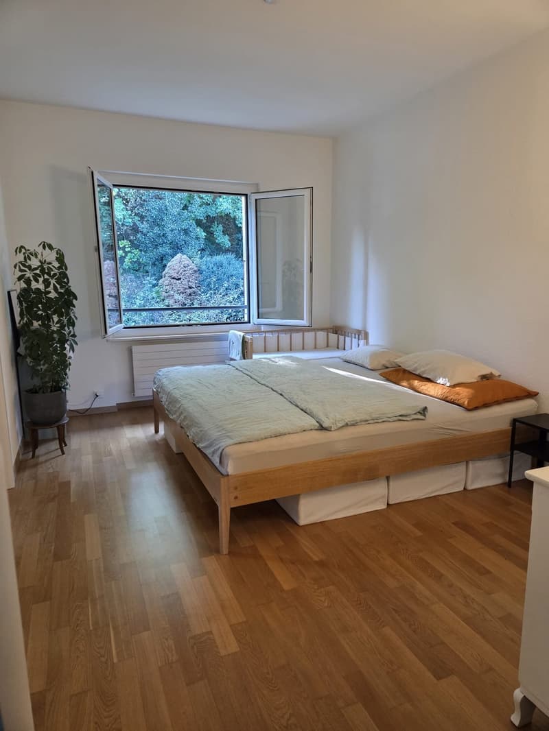 Nachmieter für 4-Zimmer-Wohnung an zentraler und ruhiger Lage gesucht (9)