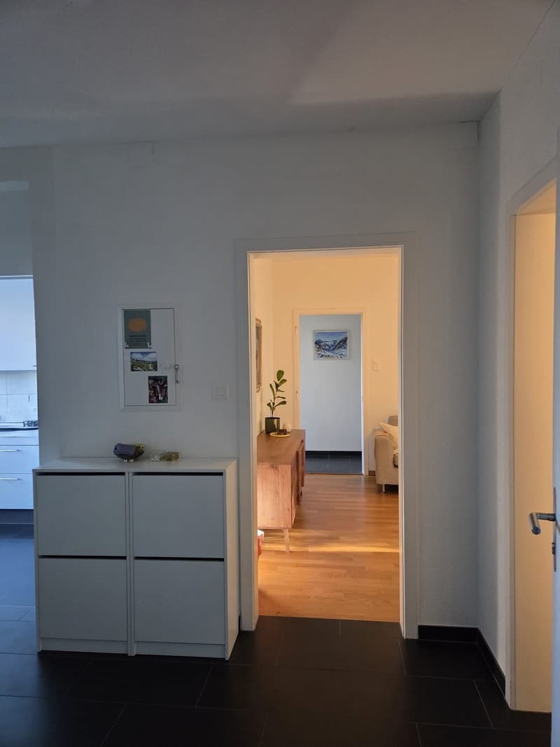 Nachmieter für 4-Zimmer-Wohnung an zentraler und ruhiger Lage gesucht (7)