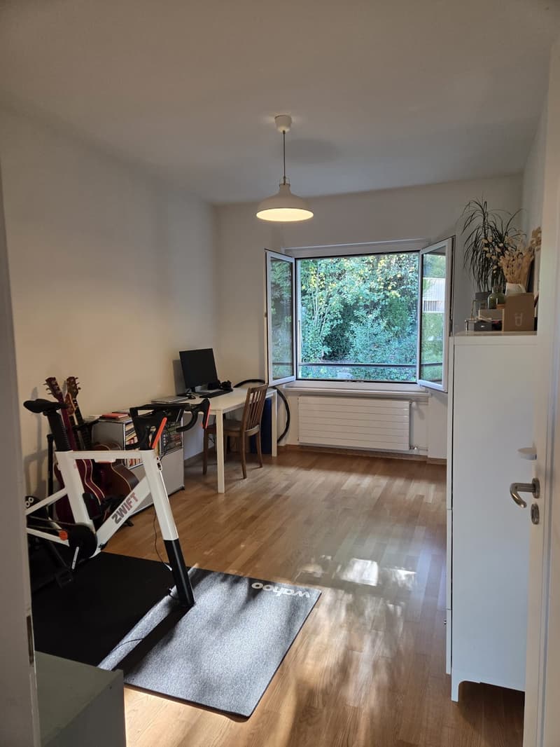 Nachmieter für 4-Zimmer-Wohnung an zentraler und ruhiger Lage gesucht (10)