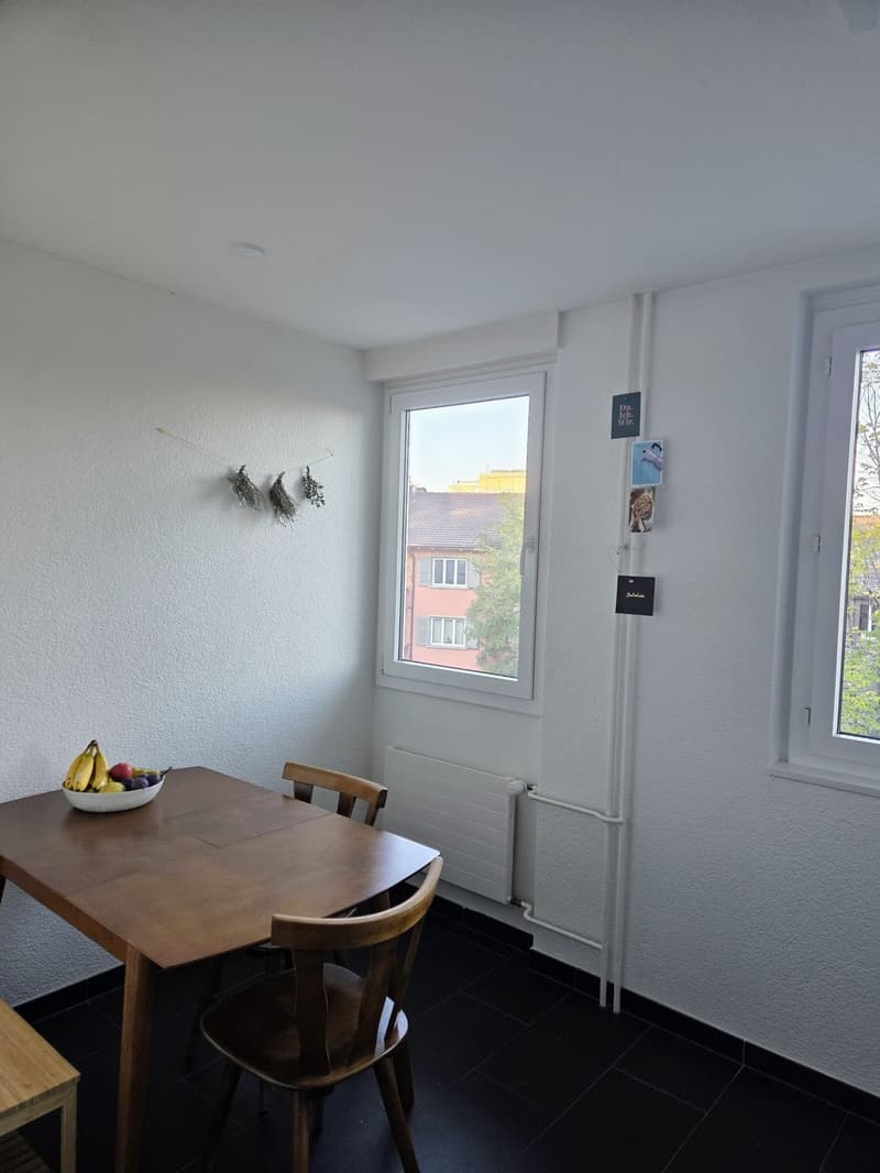 Nachmieter für 4-Zimmer-Wohnung an zentraler und ruhiger Lage gesucht (6)