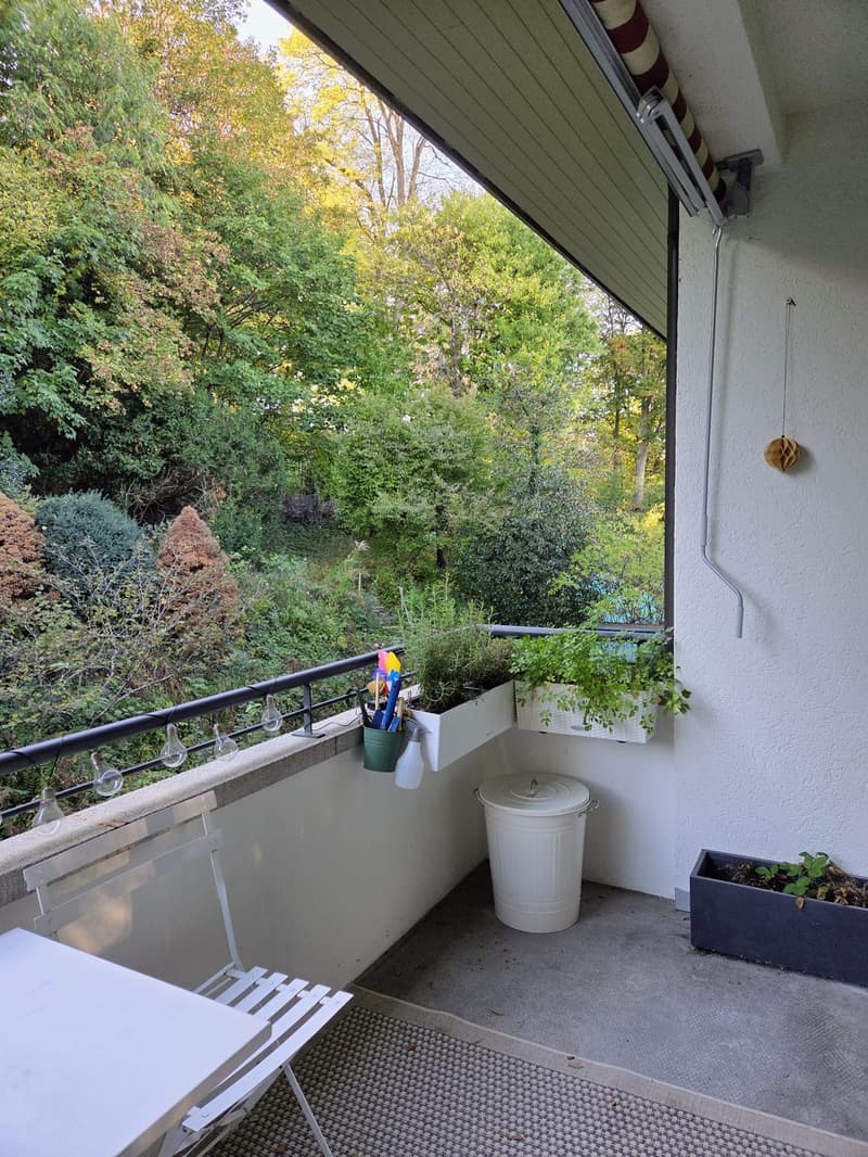 Nachmieter für 4-Zimmer-Wohnung an zentraler und ruhiger Lage gesucht (4)