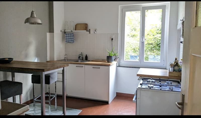 Furnished appartment in Wiedikon (3)