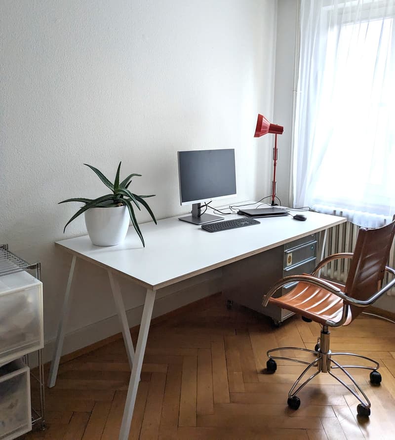 Furnished appartment in Wiedikon (6)