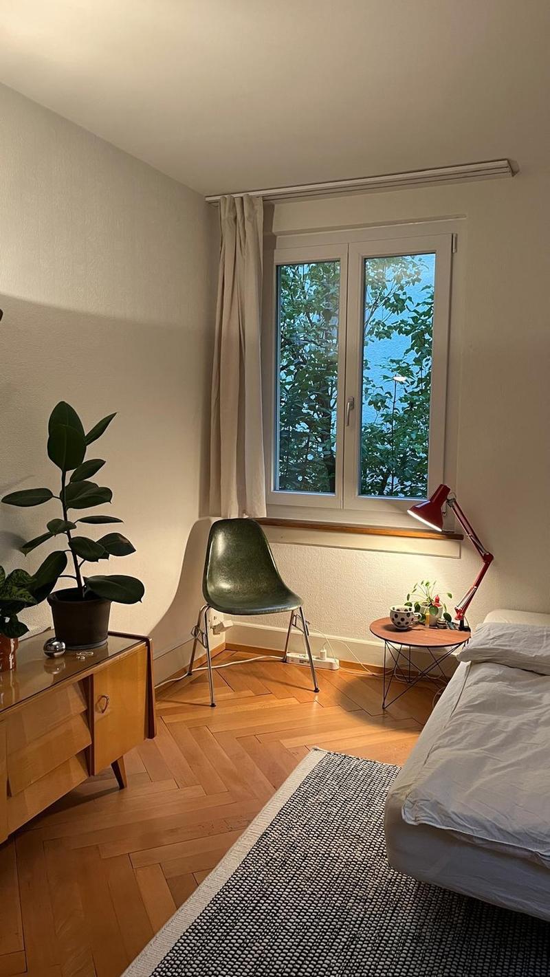 Furnished appartment in Wiedikon (4)