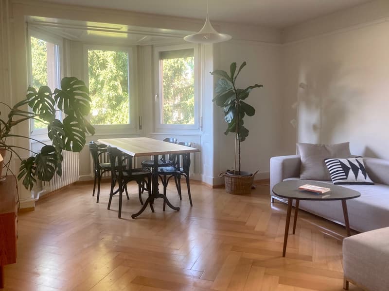 Furnished appartment in Wiedikon (1)