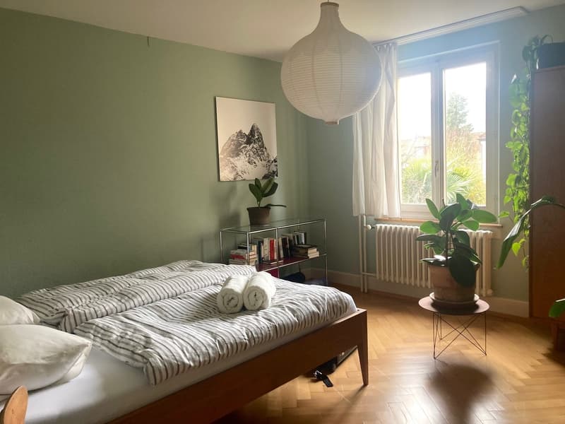 Furnished appartment in Wiedikon (2)
