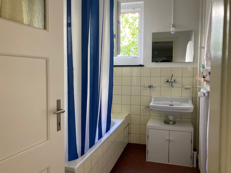 Furnished appartment in Wiedikon (5)