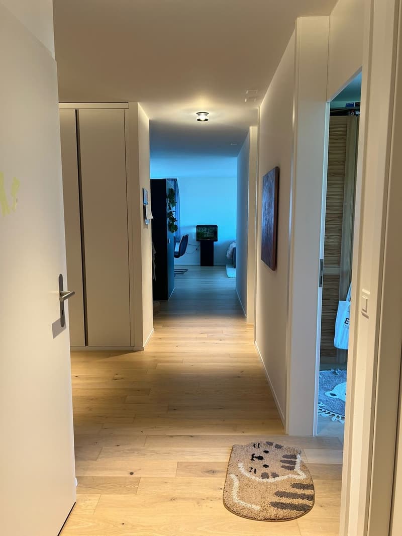 Shared Flat (7)