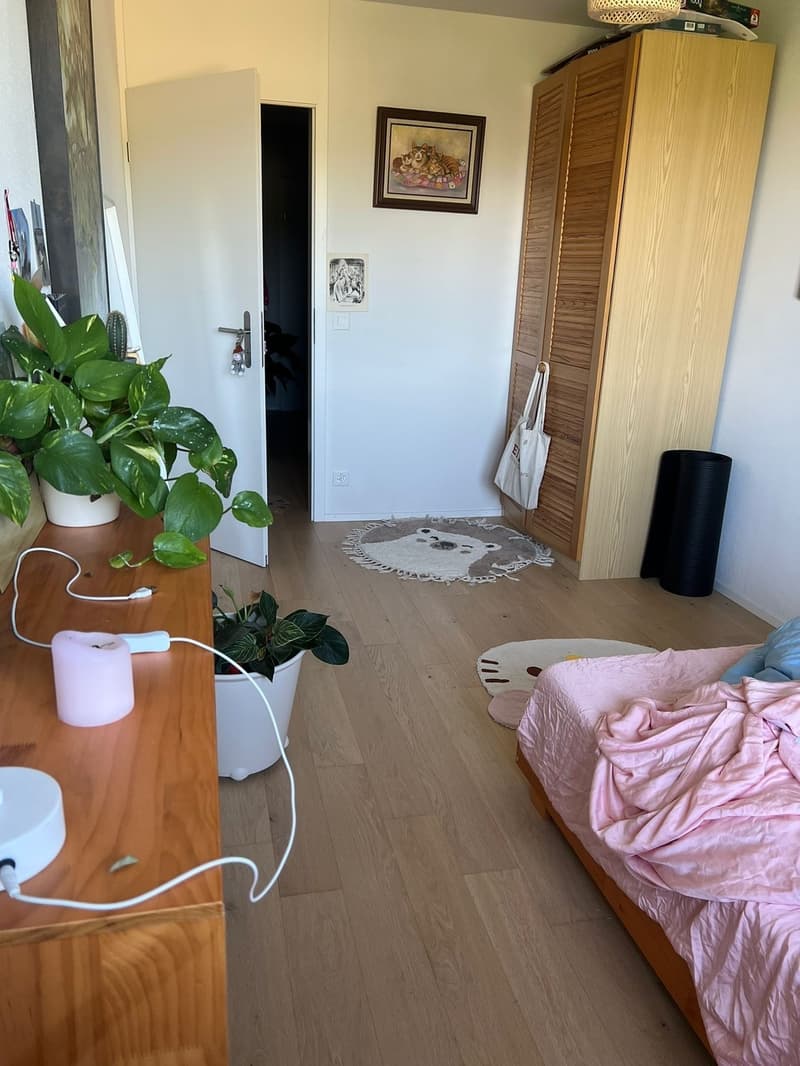 Shared Flat (1)