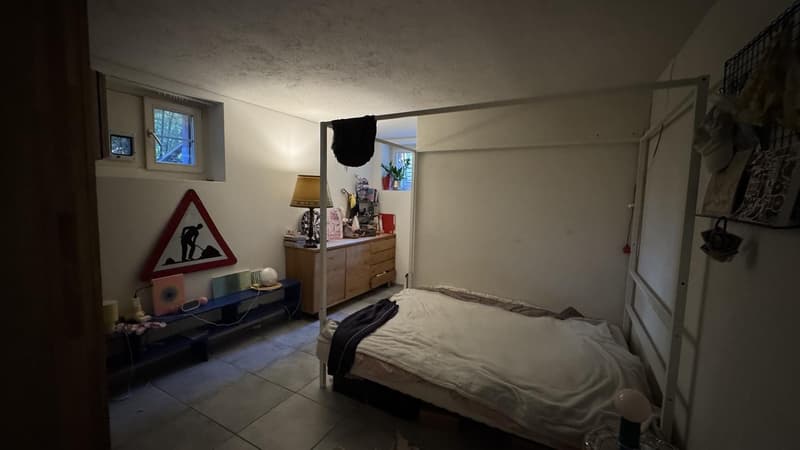 2-Room Apartment in Wipkingen (4)