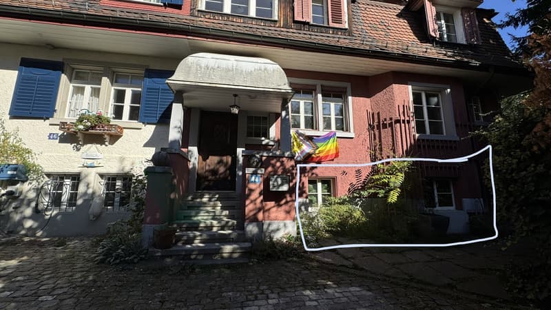 2-Room Apartment in Wipkingen (2)