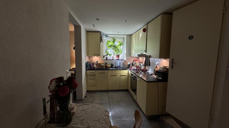 2-Room Apartment in Wipkingen (3)