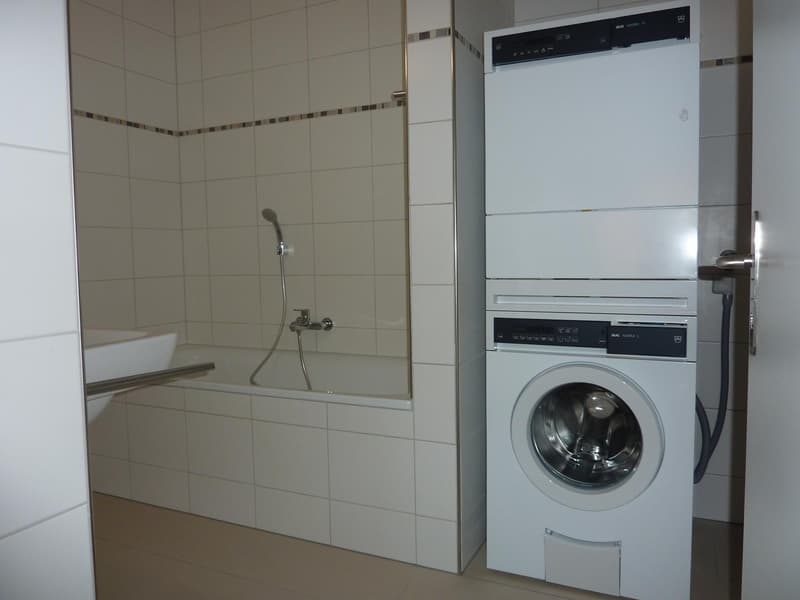 3 1/2 Zimmer-Wohnungen im steuergünstigen Winkel (9)