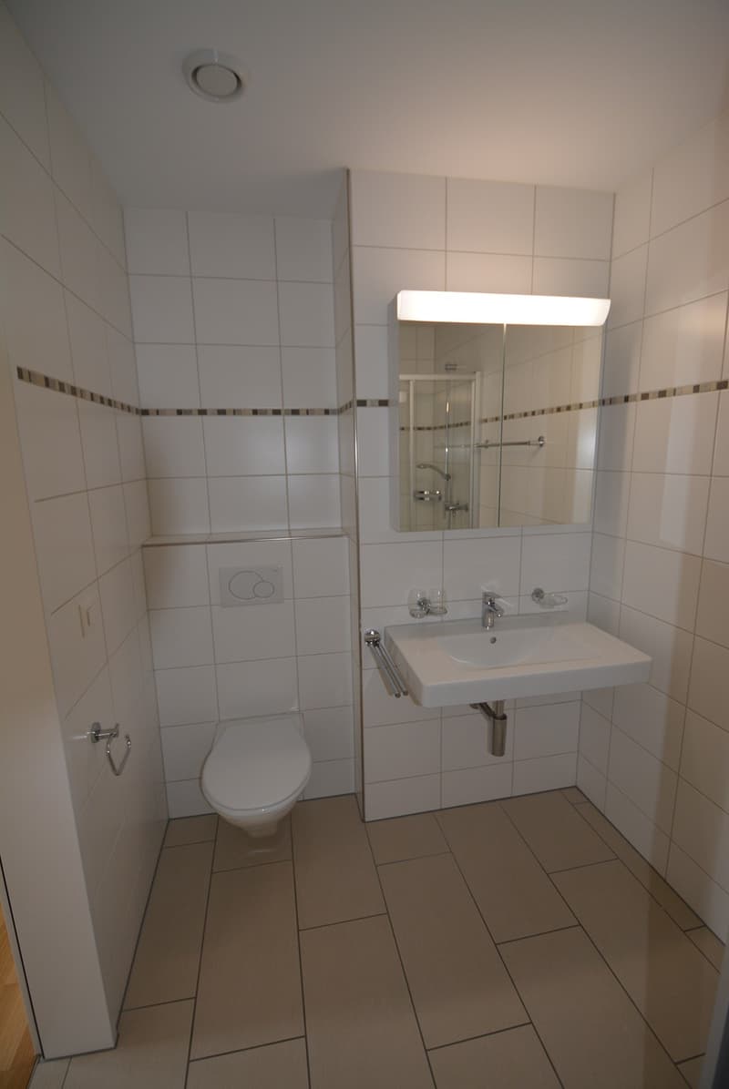 3 1/2 Zimmer-Wohnungen im steuergünstigen Winkel (4)