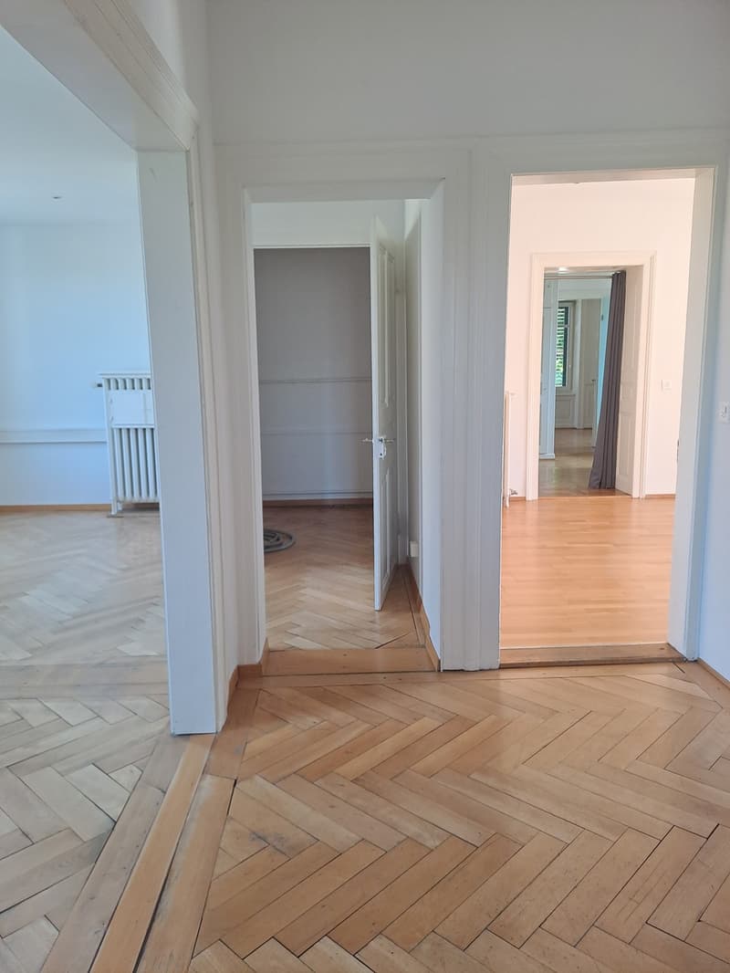 5.5 Zi Wohnung in Jugendstilvilla (3)