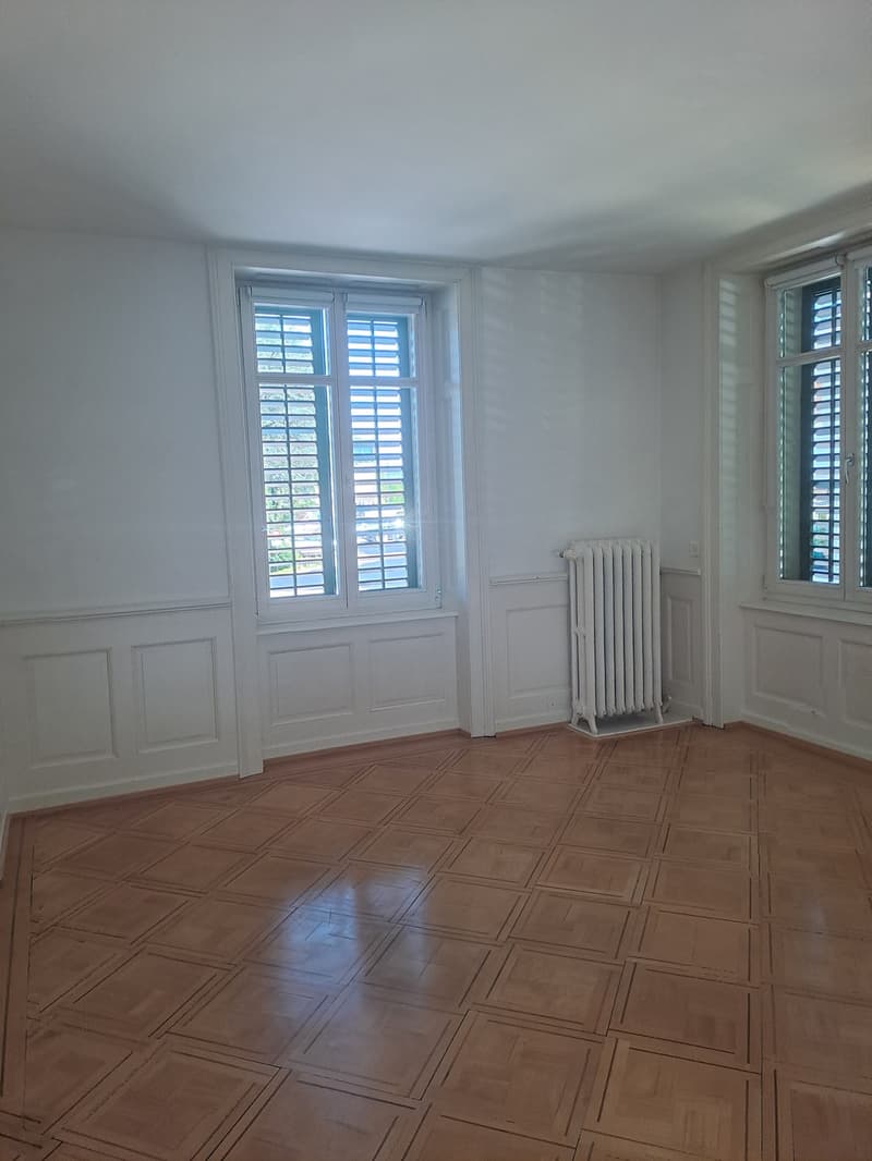 5.5 Zi Wohnung in Jugendstilvilla (6)