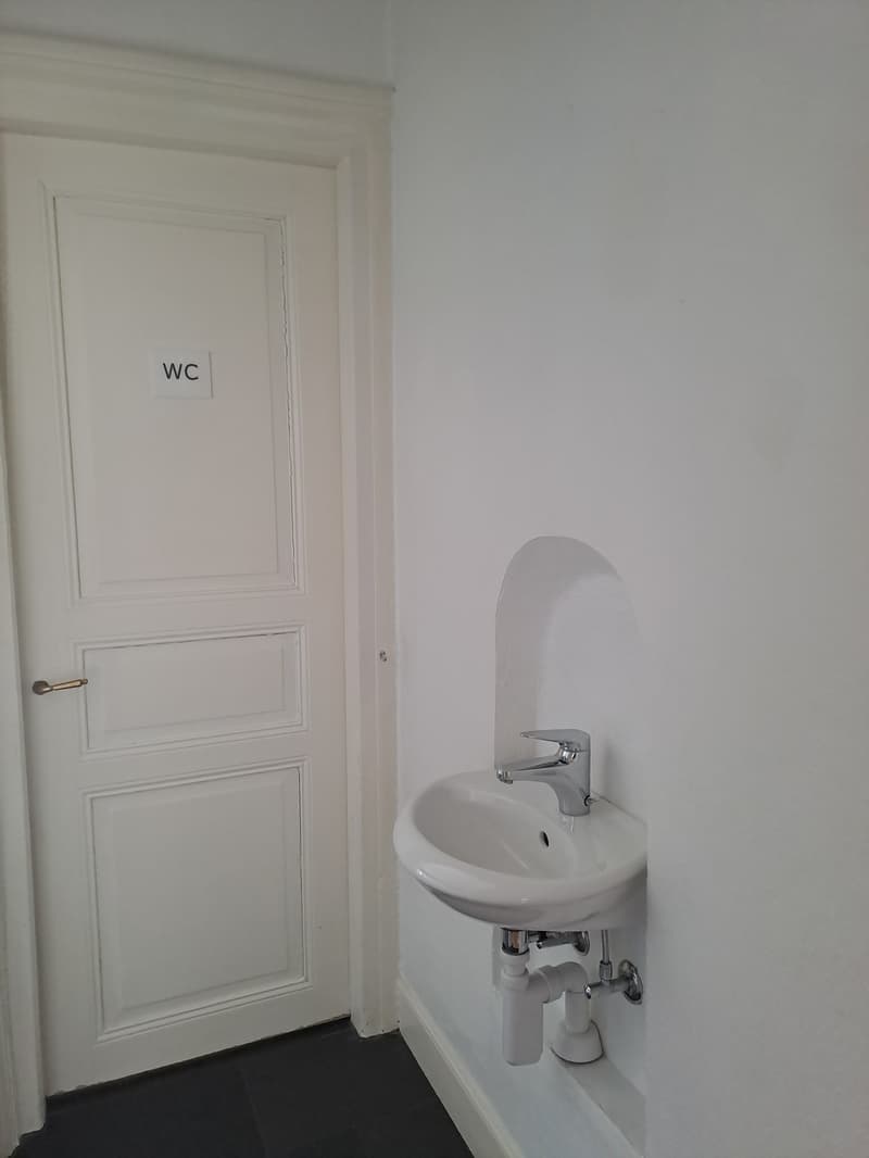 5.5 Zi Wohnung in Jugendstilvilla (8)