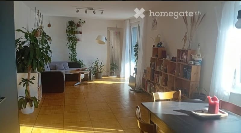 WG Zimmer, 8400 Winterthur (4)