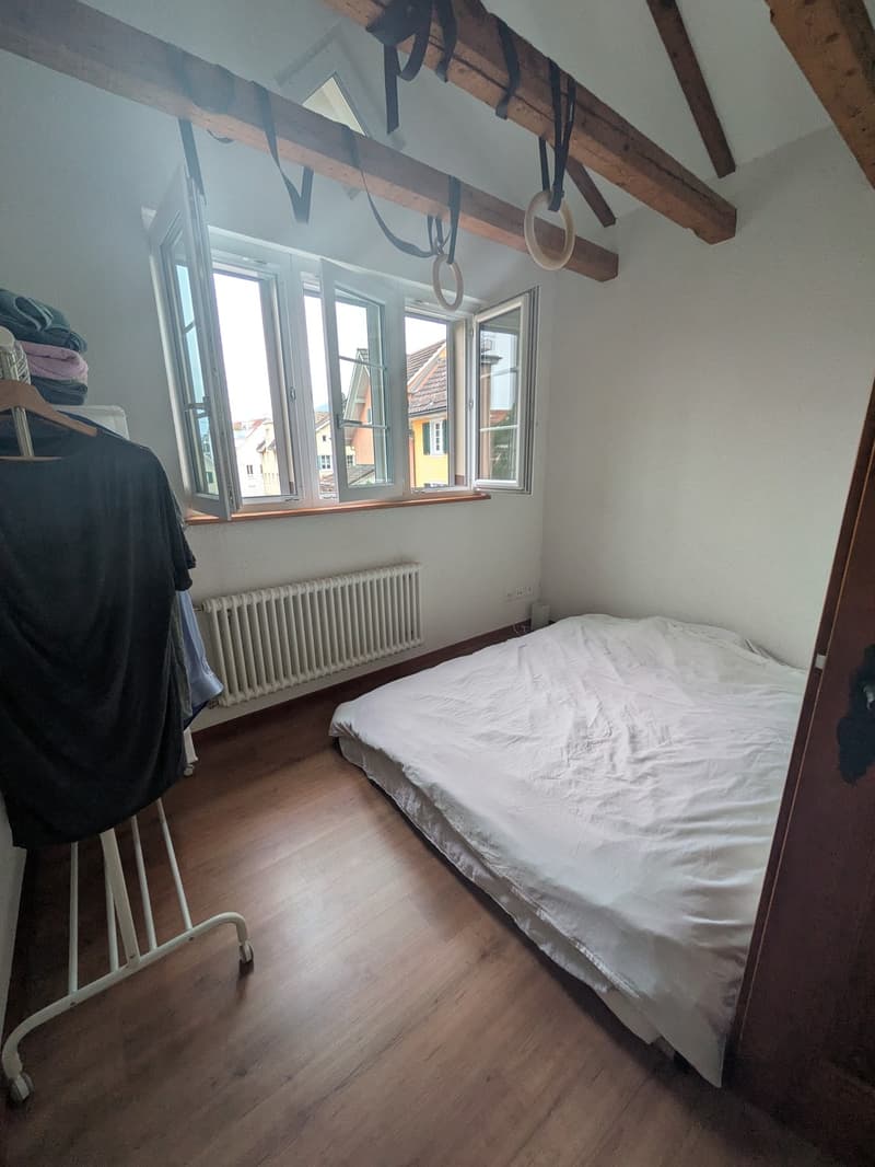 2.5-Zimmer-Wohnung im Zentrum von Richterswil (6)