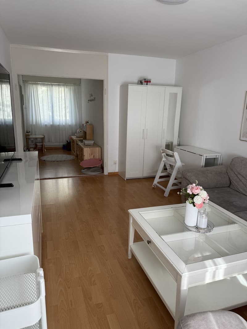 Attraktive 2.5-Zimmer-Wohnung in Dietikon (Nachmieter gesucht) (9)