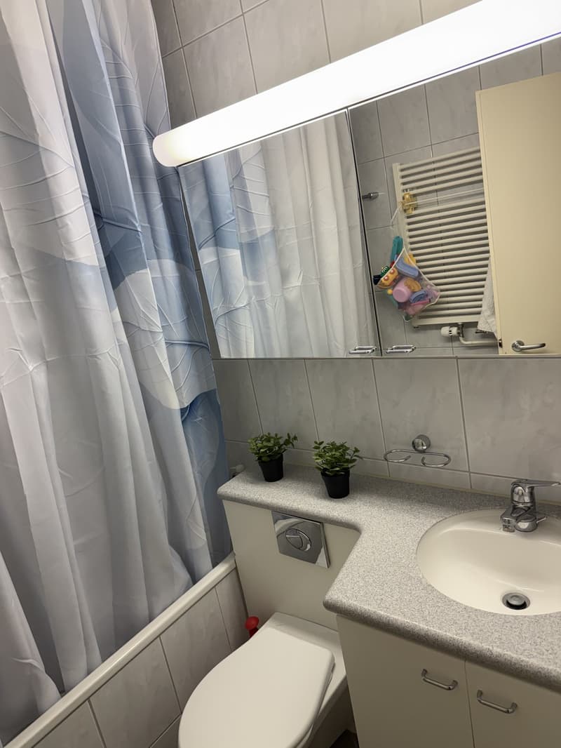 Attraktive 2.5-Zimmer-Wohnung in Dietikon (Nachmieter gesucht) (4)