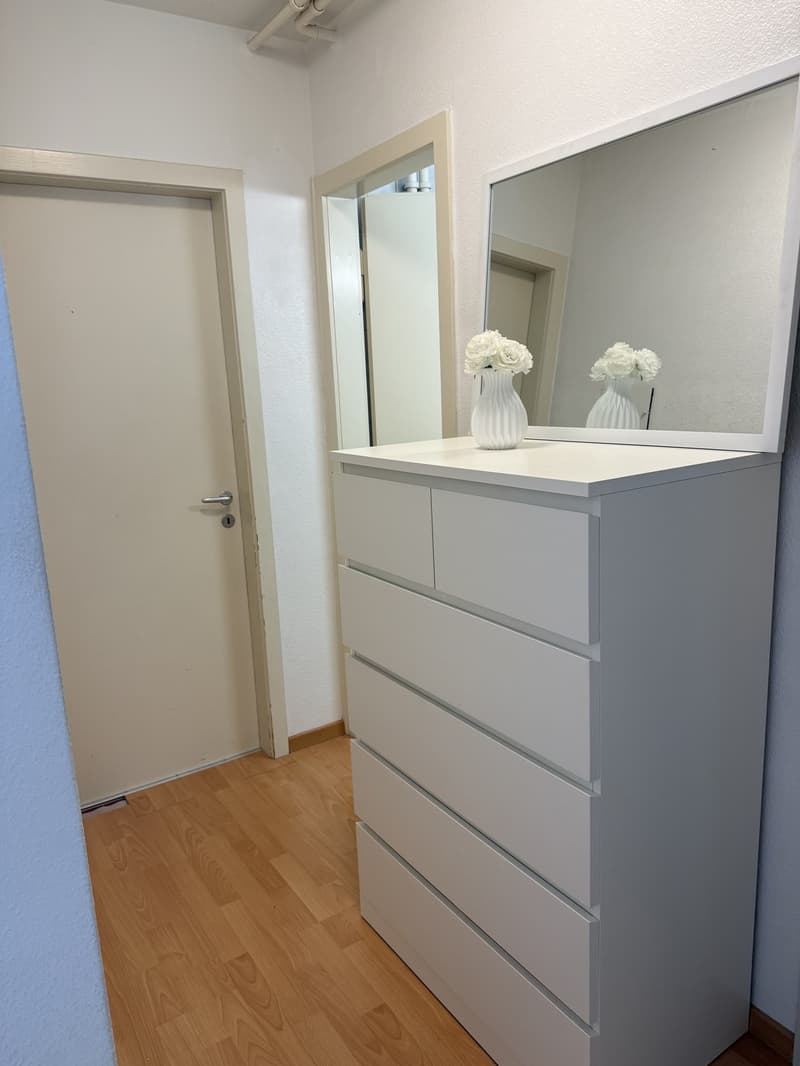 Attraktive 2.5-Zimmer-Wohnung in Dietikon (Nachmieter gesucht) (10)