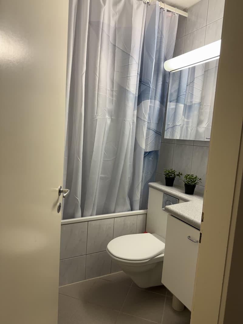 Attraktive 2.5-Zimmer-Wohnung in Dietikon (Nachmieter gesucht) (3)