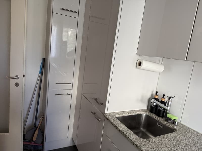 Attraktive 2.5-Zimmer-Wohnung in Dietikon (Nachmieter gesucht) (11)