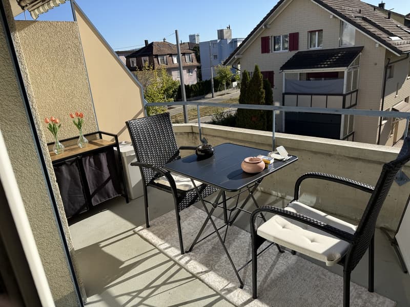 Attraktive 2.5-Zimmer-Wohnung in Dietikon (Nachmieter gesucht) (13)