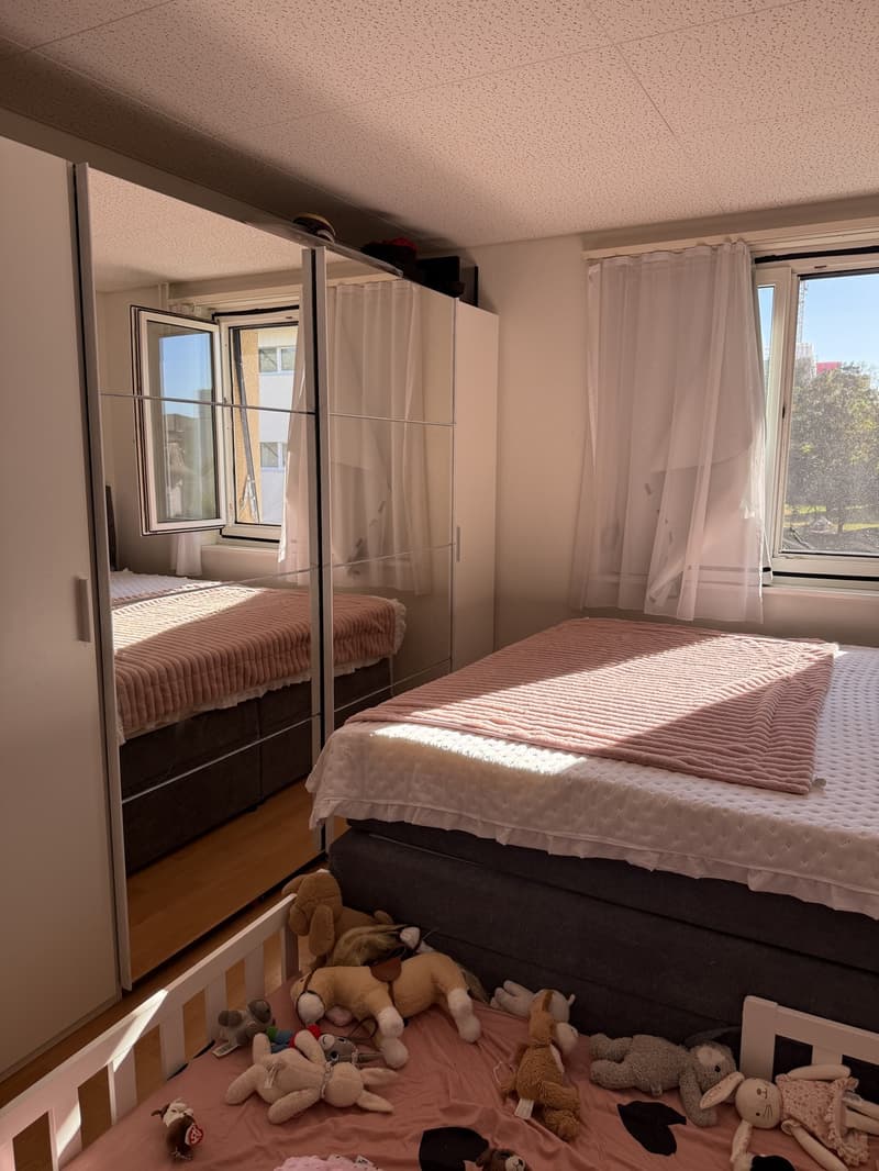 Attraktive 2.5-Zimmer-Wohnung in Dietikon (Nachmieter gesucht) (7)