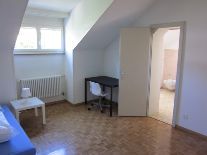 Furnished WoVe Room (Private Bath) for Sublet (NovJan)  Potential Permanent Takeover (3)