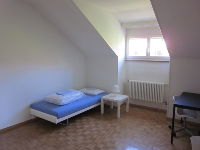 Furnished WoVe Room (Private Bath) for Sublet (NovJan)  Potential Permanent Takeover (2)