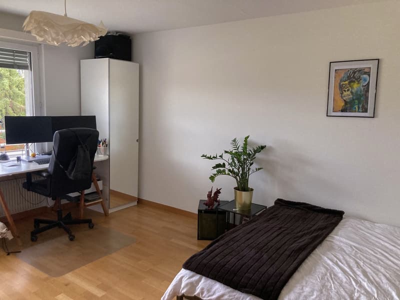 WG Zimmer in Kloten zu vermieten (2)