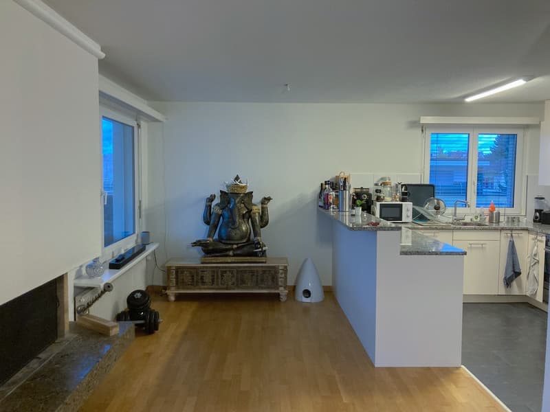 Wohnzimmer / Küche