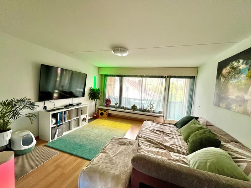 4.5-Zimmer-Wohnung (90 m²) mit grossem Balkon und schöner Aussicht in Wittnau (1)