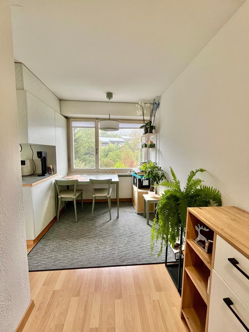 4.5-Zimmer-Wohnung (90 m²) mit grossem Balkon und schöner Aussicht in Wittnau (10)