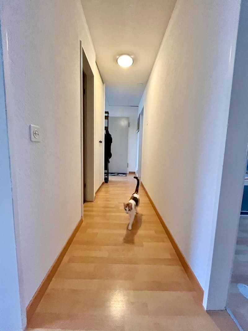 4.5-Zimmer-Wohnung (90 m²) mit grossem Balkon und schöner Aussicht in Wittnau (8)
