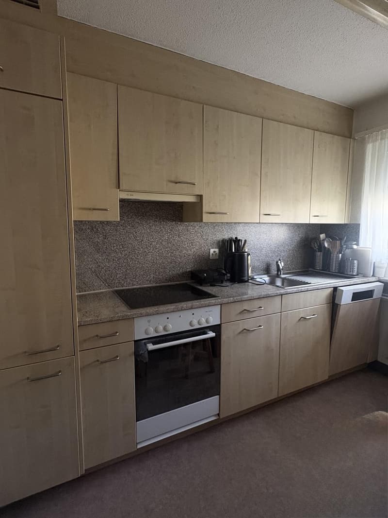 Grosszügige Wohnung an zentraler Lage (3)
