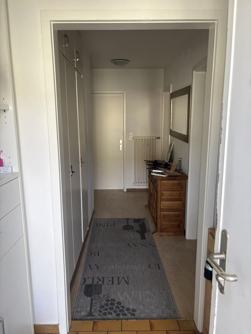 Grosszügige Wohnung an zentraler Lage (4)