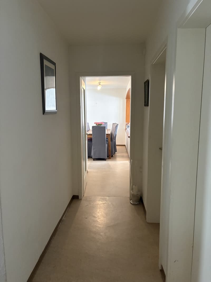 Grosszügige Wohnung an zentraler Lage (5)