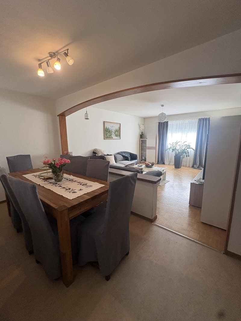 Grosszügige Wohnung an zentraler Lage (2)
